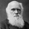 avatar van Darwin