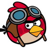avatar van Bird4ever