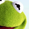 avatar van Kermit