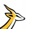 avatar van Springbok