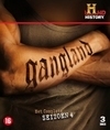 Gangland - Seizoen 4 (Blu-ray), History Channel