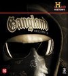 Gangland - Seizoen 5 (Blu-ray), History Channel
