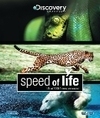 Speed of Life (Discovery) (Blu-ray), Discovery Channel