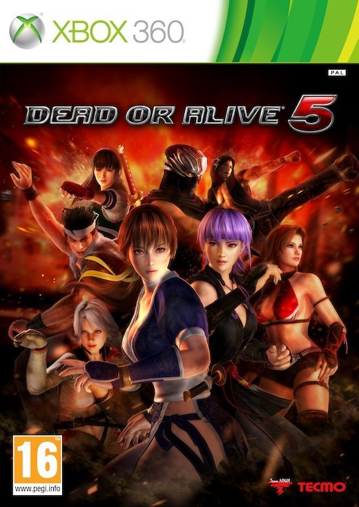 Dead or Alive 5 (Xbox360), Team Ninja