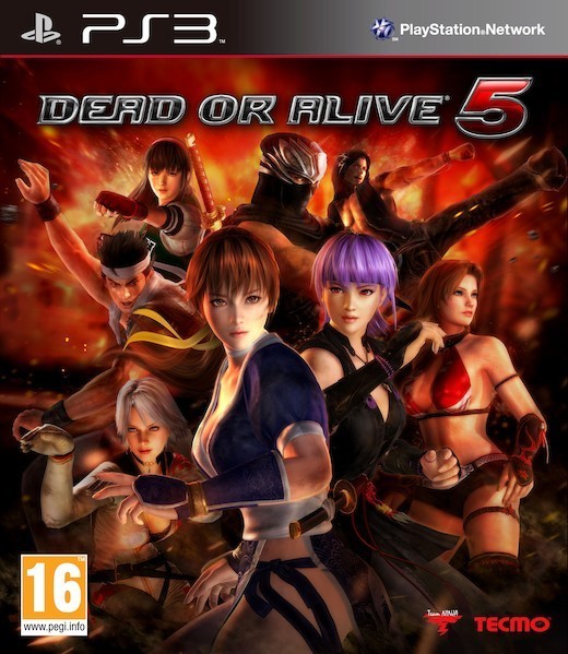 Dead or Alive 5 (PS3), Team Ninja