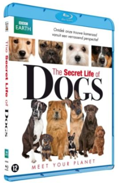 BBC Earth - The Secret Life of Dogs