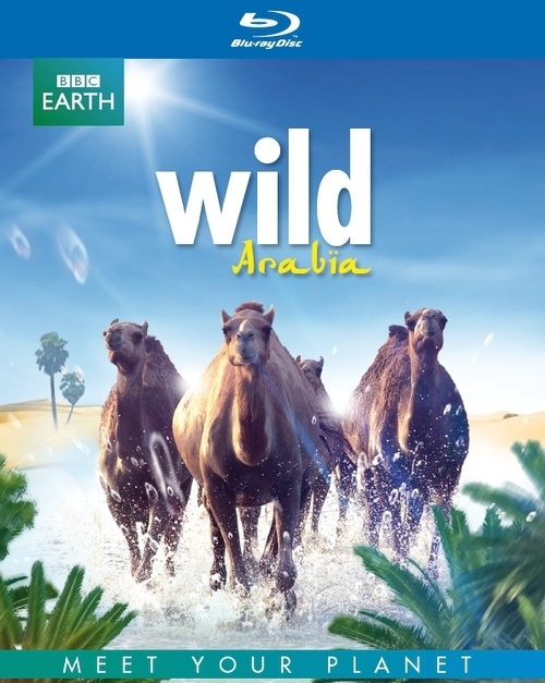 BBC Earth - Wild Arabia