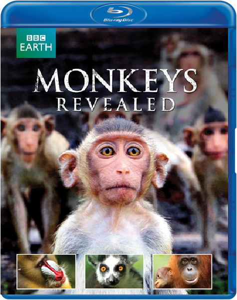 BBC Earth - Monkeys Revealed (Blu-ray), BBC