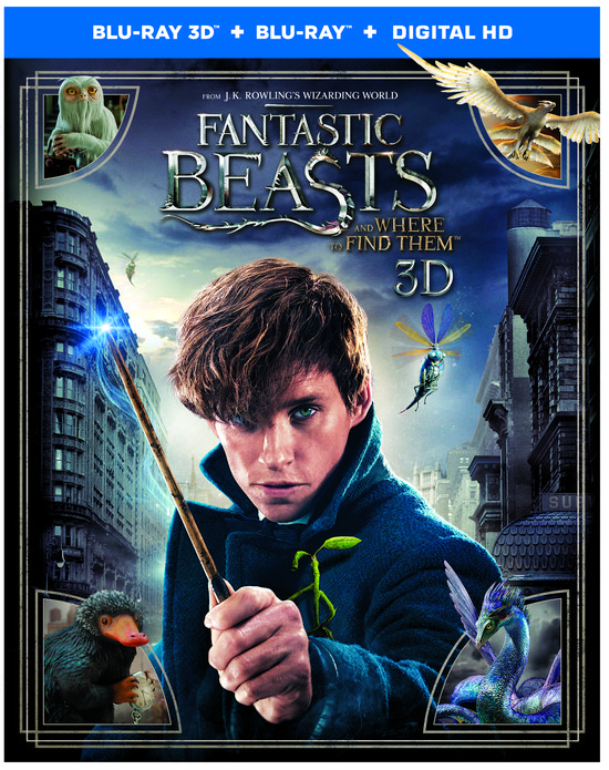Fantastic Beasts and Where to Find Them (2D+3D) (Blu-ray), David Yates