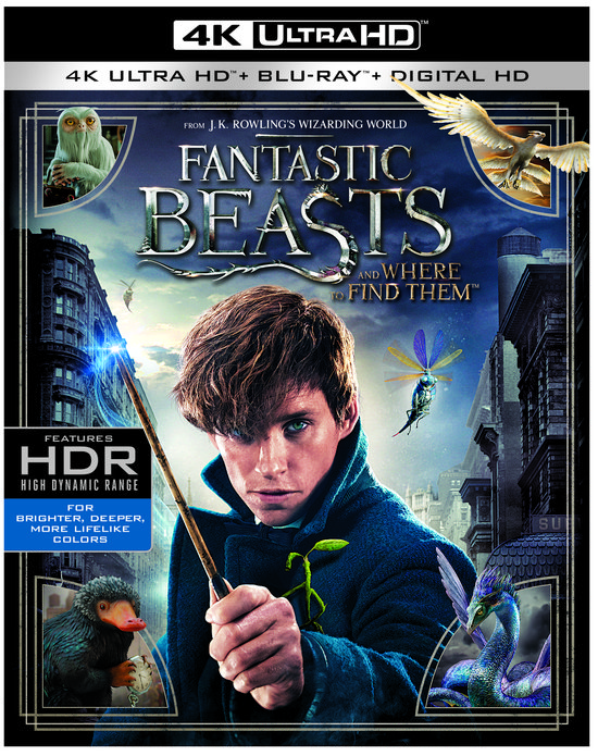 Fantastic Beasts and Where to Find Them (4K Ultra HD) (Blu-ray), David Yates