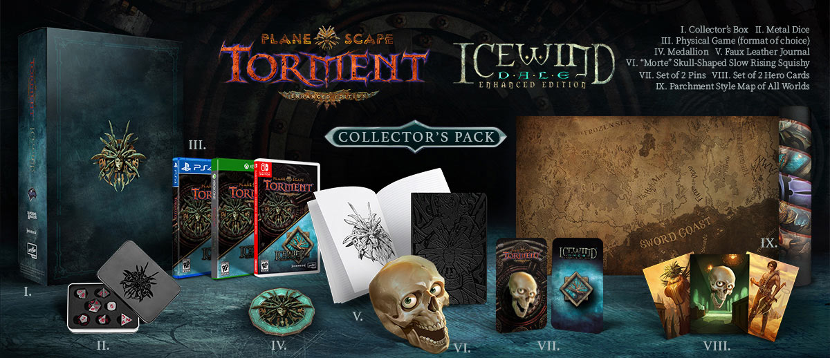 Icewind Dale + PlaneScape Torment - Enhanced Editions Collector's Pack (PS4), Skybound Games