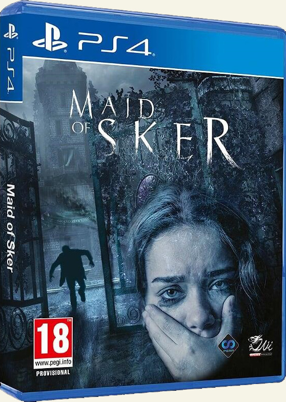 Maid of Sker (PS4), Perpetual Games