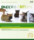 Puppies & Kittens (Blu-ray), Timm-Hendrik Hogerzeil