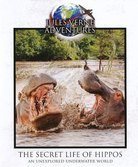 Jules Verne: The Secret Life Of Hippos (Blu-ray), Jean-Christophe Jeauffre